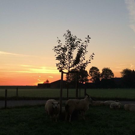 Boerengastenverblijf De Kromme Rijn Cothen Kültér fotó