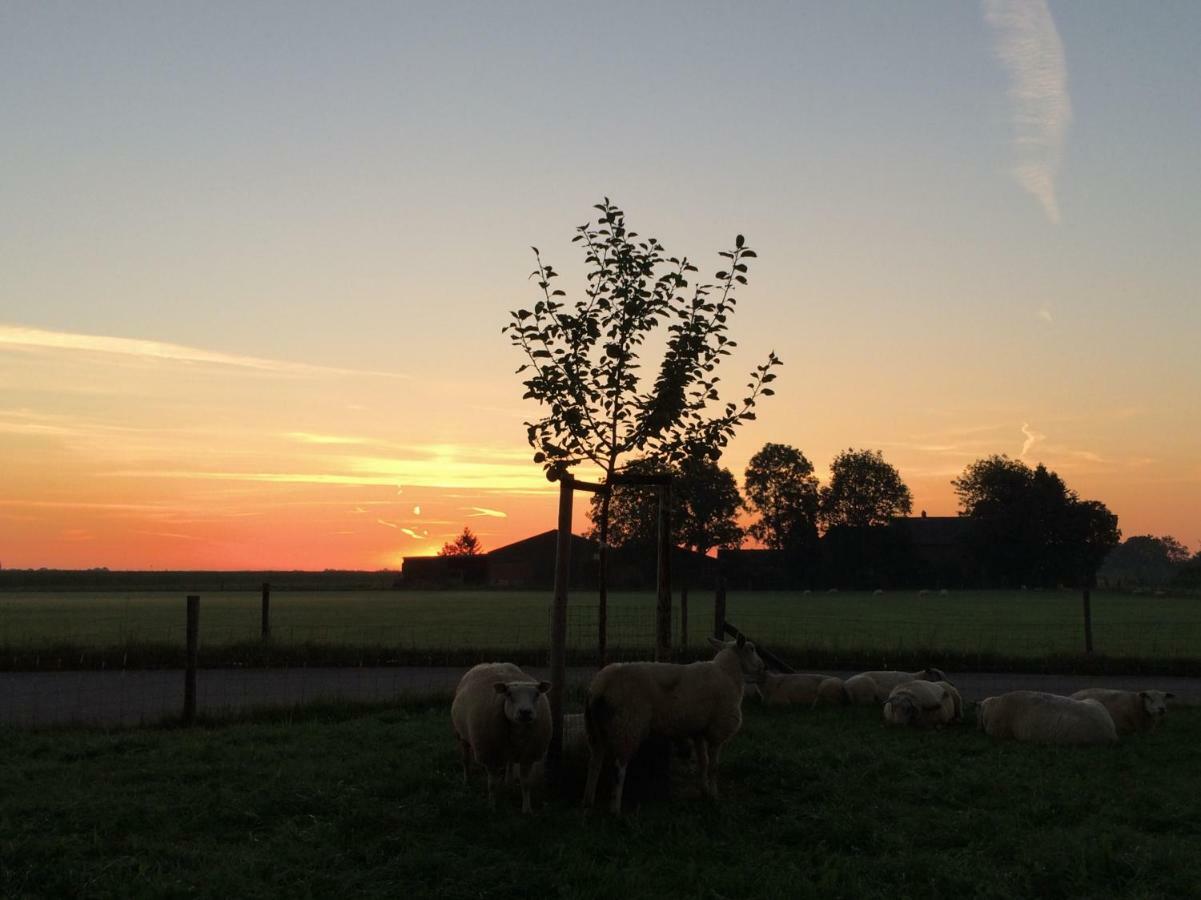 Boerengastenverblijf De Kromme Rijn Cothen Kültér fotó